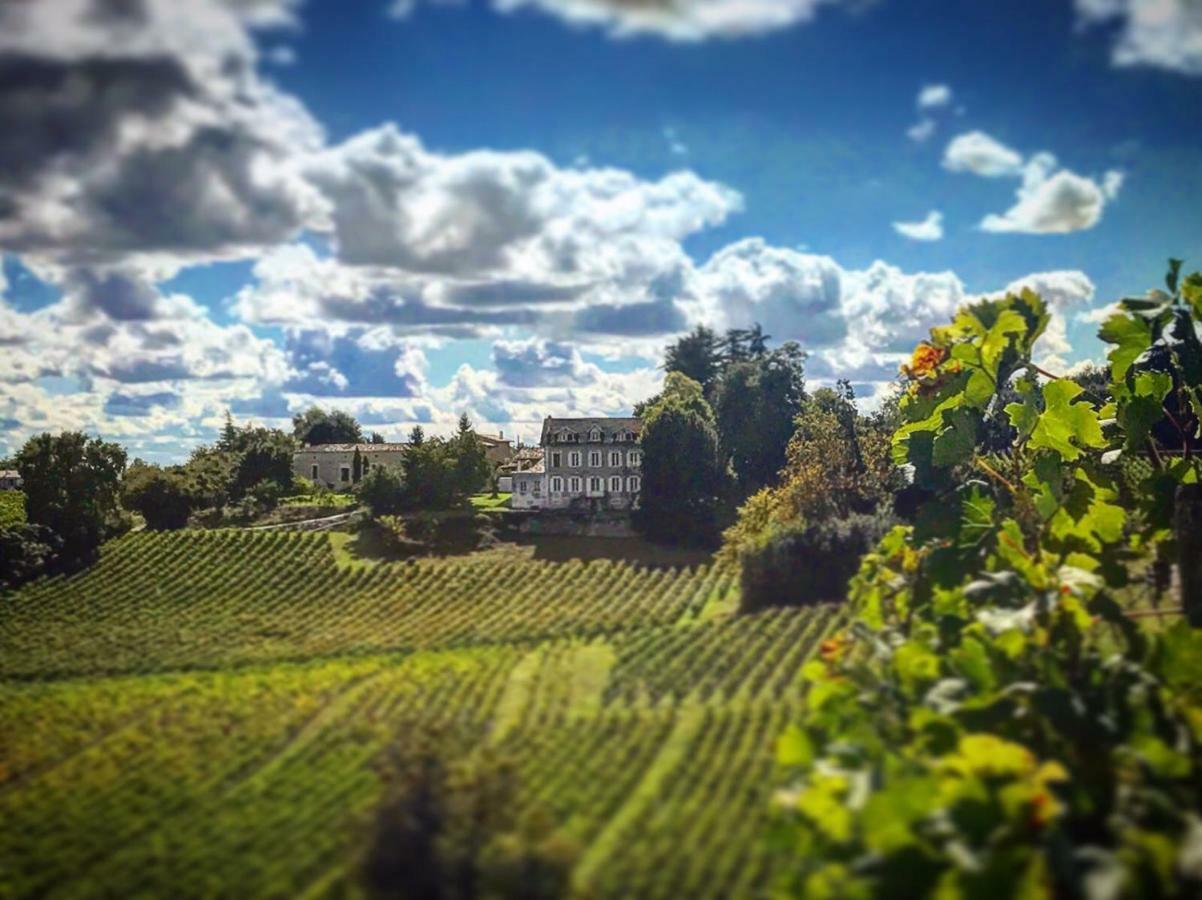 Chateau La Fontaine Villa Fronsac  Esterno foto